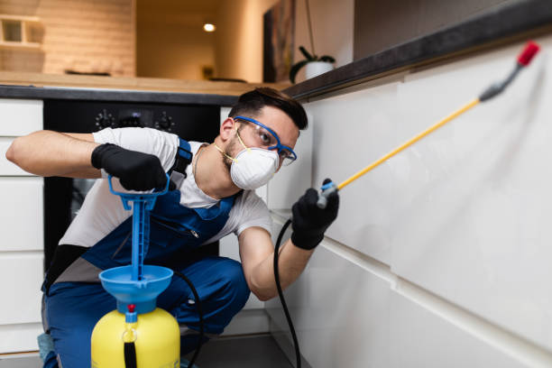 Best Exterminator Services  in Rockdale, IL