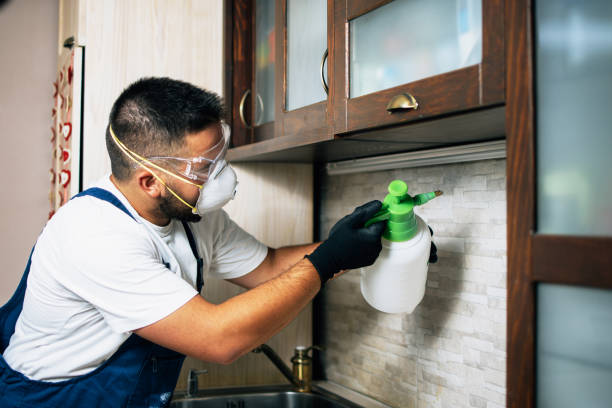 Best Affordable Pest Control Services  in Rockdale, IL