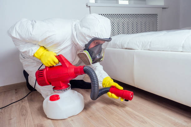 Best Wasp Removal Services  in Rockdale, IL