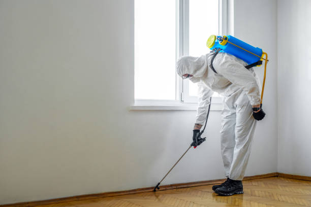 Best Pest Control Near Me  in Rockdale, IL